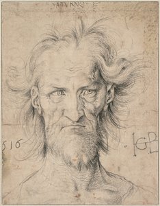 Head of a Bearded Old Man (Saturn), 1516 by Albrecht Dürer
